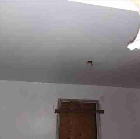 4200156_0020 (2).jpg